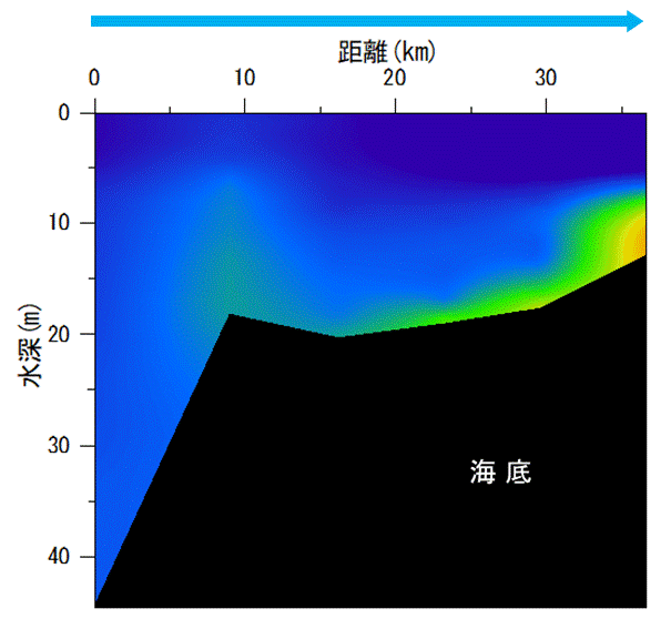 2022年6月8,9日調査　湾奥部で貧酸素水塊が確認されました。