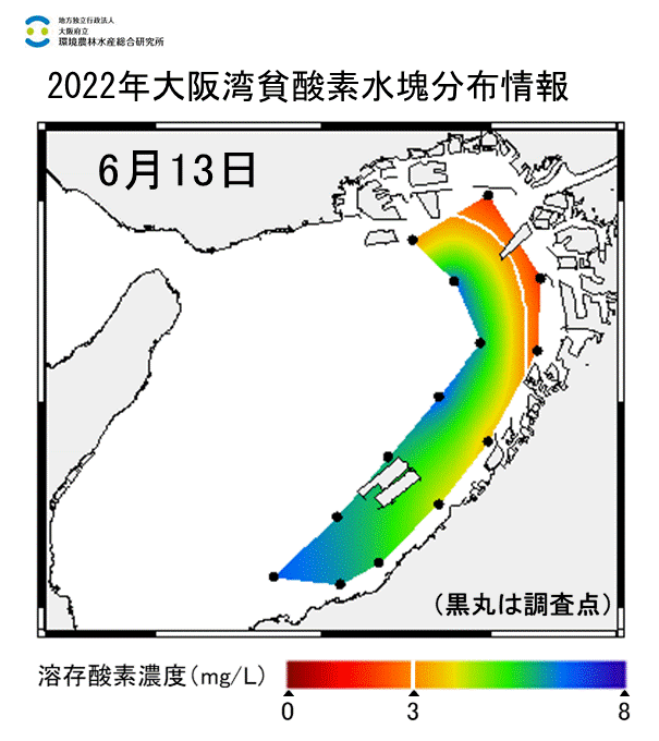 2022年6月13日調査　湾奥部で貧酸素水塊が確認されました。