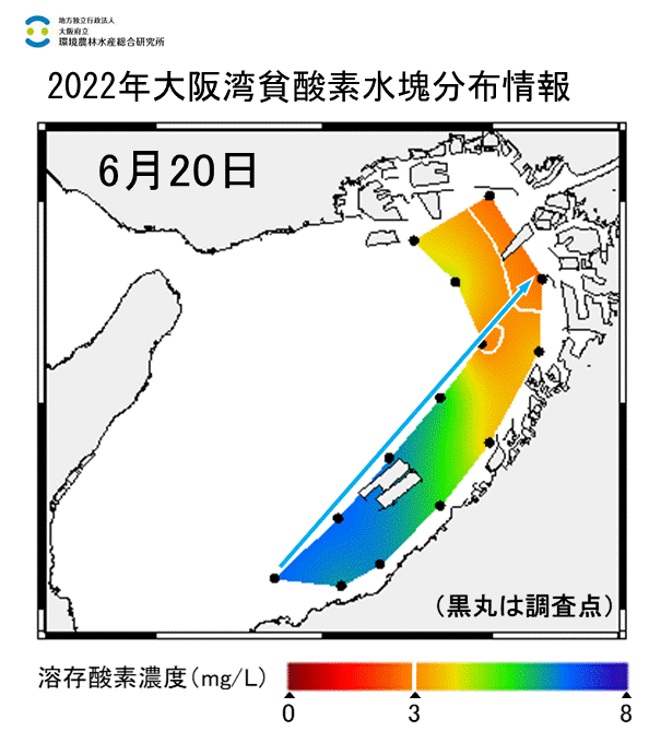 2022年6月20日調査　湾奥部で貧酸素水塊が確認されました。