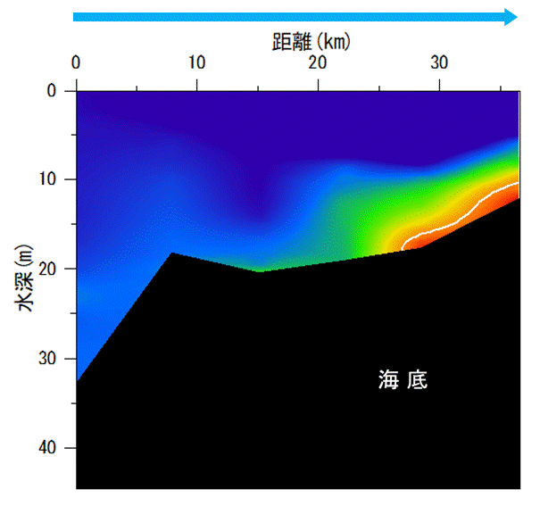 2022年6月20日調査　湾奥部で貧酸素水塊が確認されました。