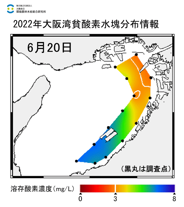 2022年6月20日調査　湾奥部で貧酸素水塊が確認されました。
