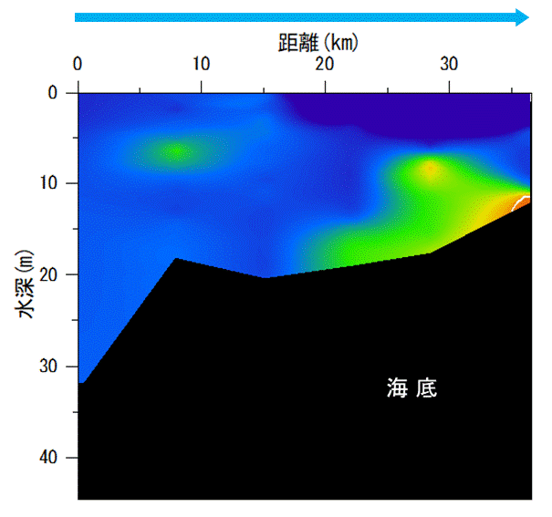 2022年6月27日調査　湾奥部で貧酸素水塊が確認されました。