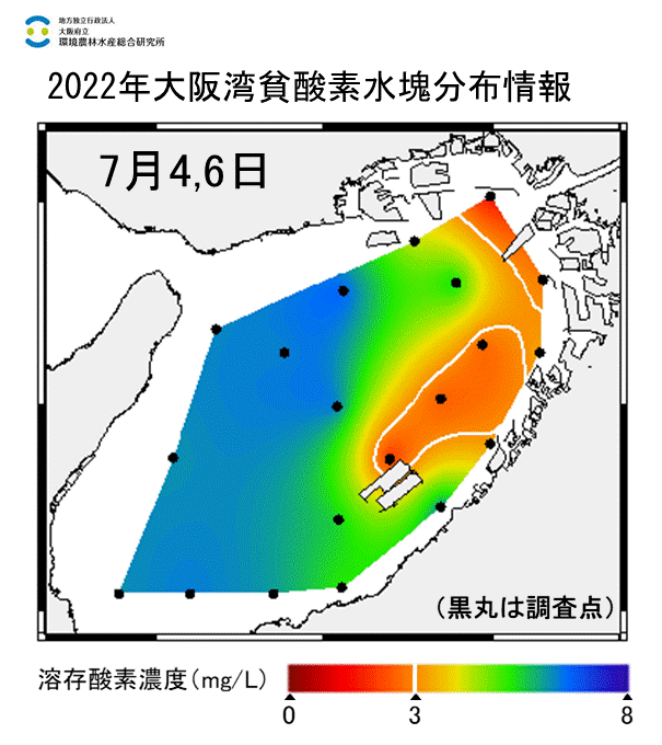 2022年7月4,6日調査　湾奥部、湾東部で貧酸素水塊が確認されました。