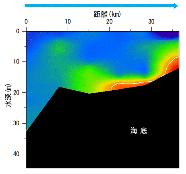 2022年7月20日調査　湾奥部で貧酸素水塊が確認されました。