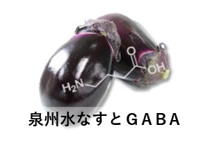 泉州水なすとGABA