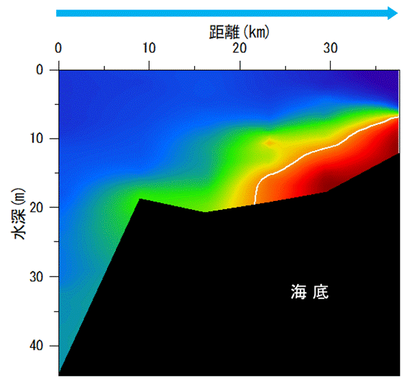 2022年8月2日調査　湾奥部で貧酸素水塊が確認されました。