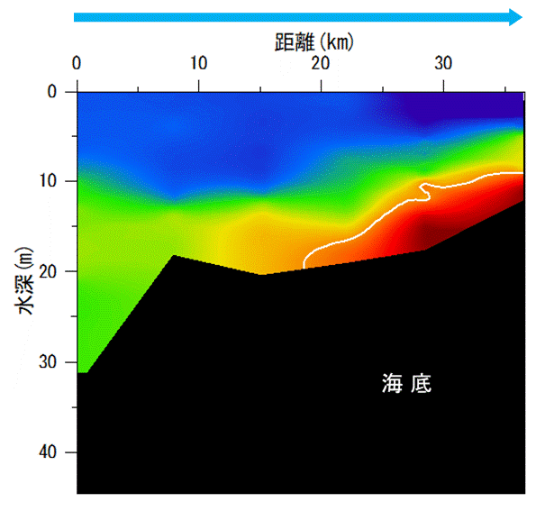 2022年8月8日調査　湾奥部、湾東部で貧酸素水塊が確認されました。