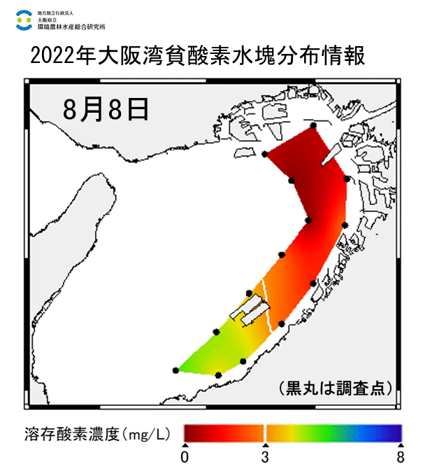 2022年8月8日調査　湾奥部、湾東部で貧酸素水塊が確認されました。