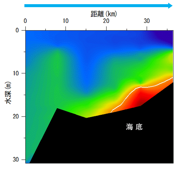 2022年8月15日調査　湾奥部で貧酸素水塊が確認されました。