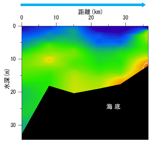 2022年8月22日調査　湾奥部、湾東部で貧酸素水塊が確認されました。