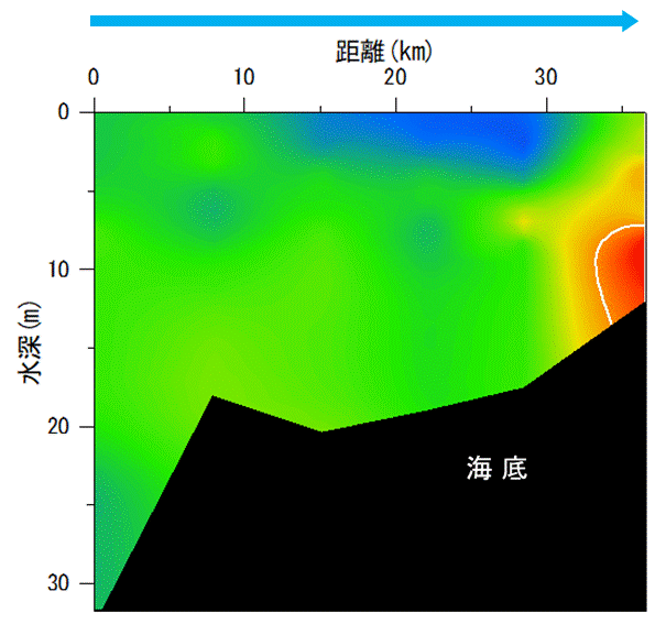 2022年8月29日調査　湾奥部で貧酸素水塊が確認されました。