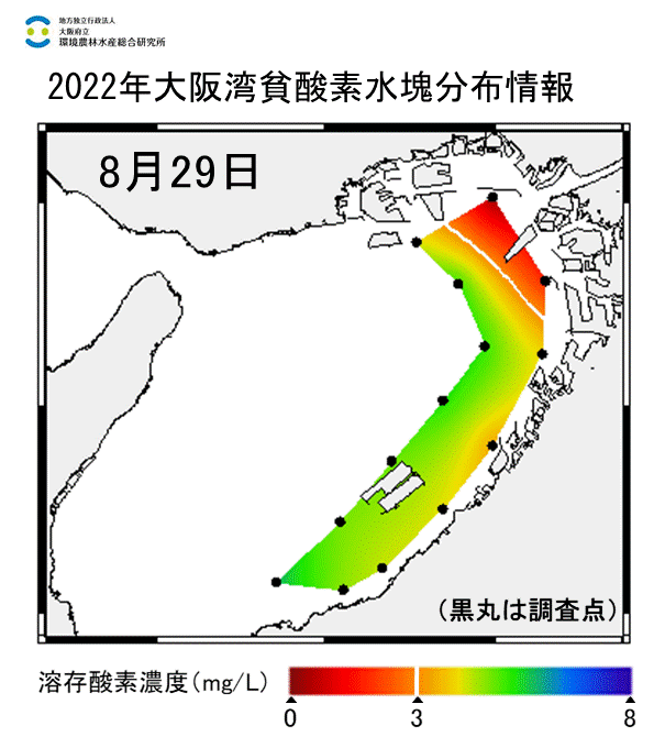 2022年8月29日調査　湾奥部で貧酸素水塊が確認されました。