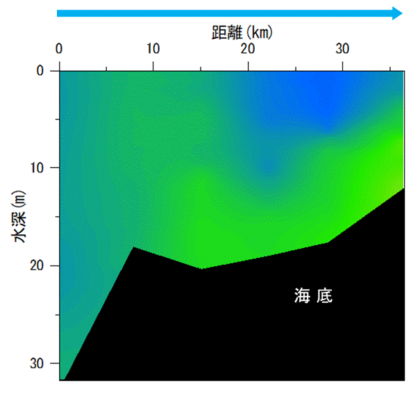 2022年9月22日調査　貧酸素水塊は確認されませんでした。