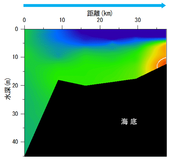 2022年10月3,6日調査　湾奥部で貧酸素水塊が確認されました。