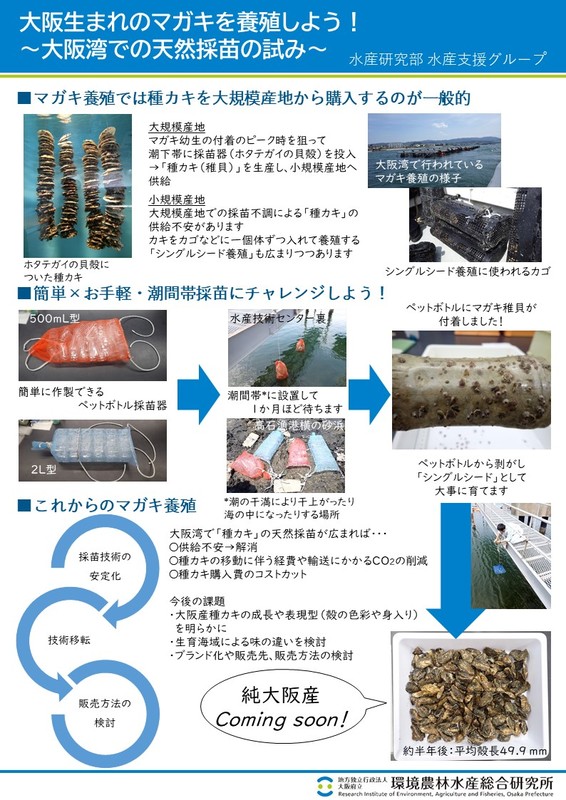 大阪生まれのマガキを養殖しよう！ 大阪湾での天然採苗の試みのポスター画像