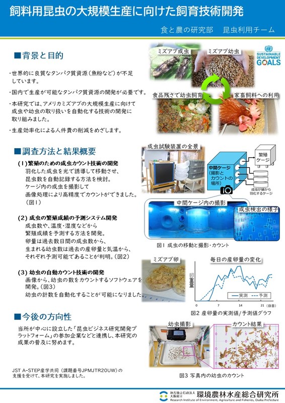 飼料用昆虫の大規模生産に向けた飼育技術開発のポスター画像