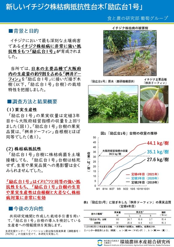 新しいイチジク株枯病抵抗性台木「励広台1号」のポスター画像