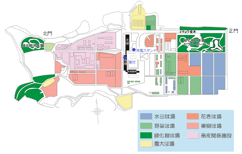 場内見取り図