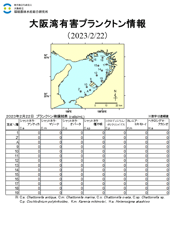 シャットネラ