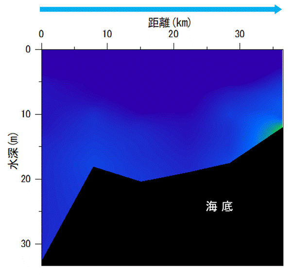 2023年5月15日調査　貧酸素水塊は確認されませんでした。