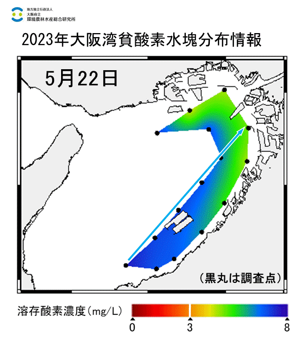 2023年5月22日調査　貧酸素水塊は確認されませんでした。