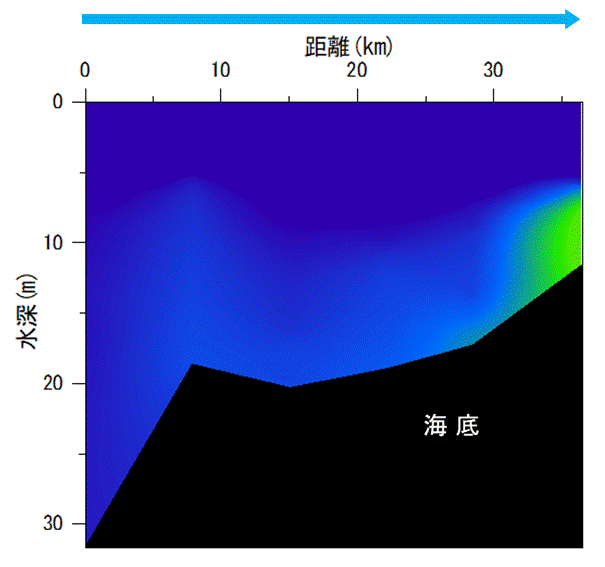 2023年5月22日調査　貧酸素水塊は確認されませんでした。