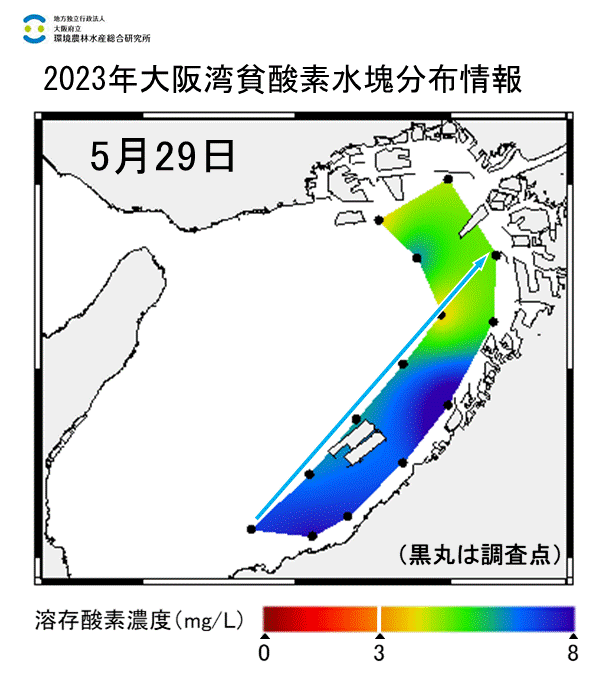 2023年5月29日調査　貧酸素水塊は確認されませんでした。