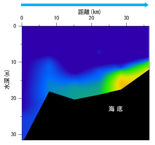 2023年5月29日調査　貧酸素水塊は確認されませんでした。