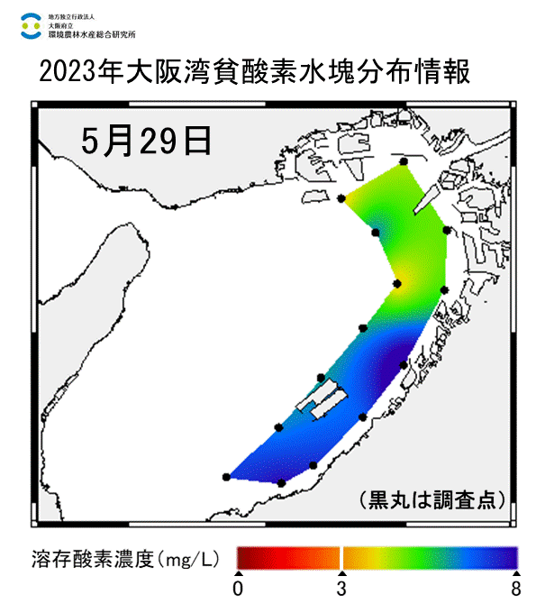 2023年5月29日調査　貧酸素水塊は確認されませんでした。