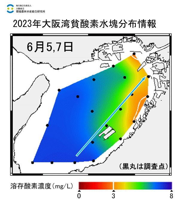 2023年6月5,7日調査　湾奥部、湾東部で貧酸素水塊が確認されました。