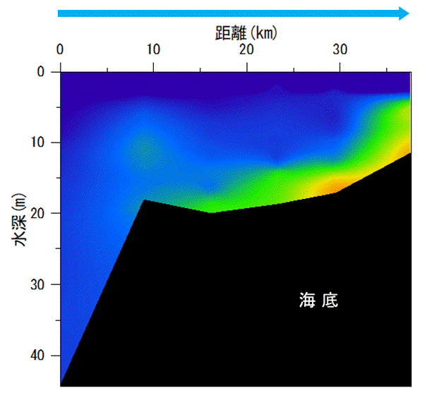 2023年6月5,7日調査　湾奥部、湾東部で貧酸素水塊が確認されました。