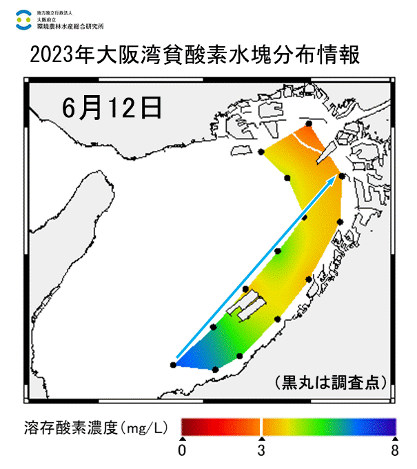 23年6月12日調査　湾奥部で貧酸素水塊が確認されました。