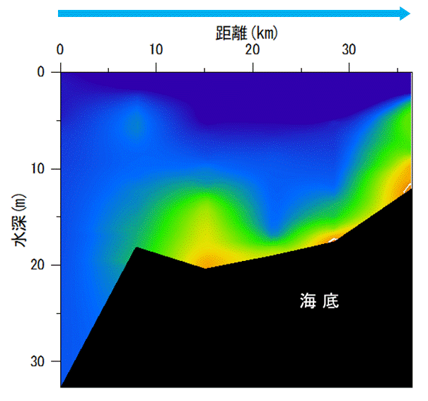 23年6月12日調査　湾奥部で貧酸素水塊が確認されました。