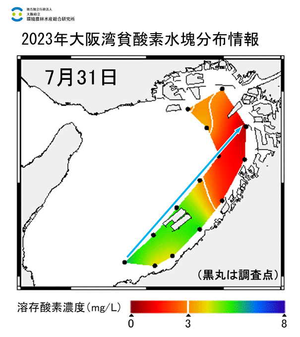 23年7月31日調査　湾奥部、湾東部で貧酸素水塊が確認されました。