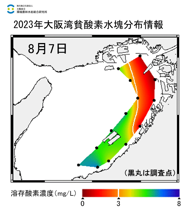 23年8月7日調査　湾奥部、湾東部で貧酸素水塊が確認されました。