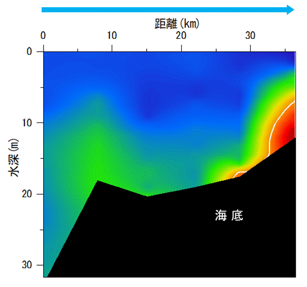 23年8月7日調査　湾奥部、湾東部で貧酸素水塊が確認されました。