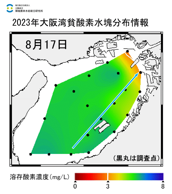 23年8月17日調査　湾奥部で貧酸素水塊が確認されました。