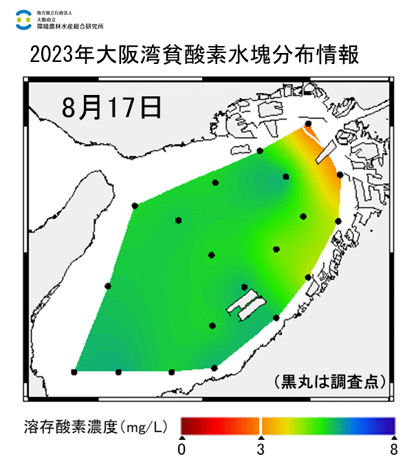 23年8月17日調査　湾奥部で貧酸素水塊が確認されました。