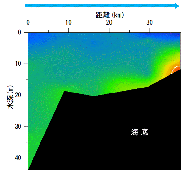 23年8月17日調査　湾奥部で貧酸素水塊が確認されました。