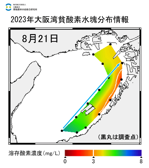 23年8月21日調査　湾東部で貧酸素水塊が確認されました。