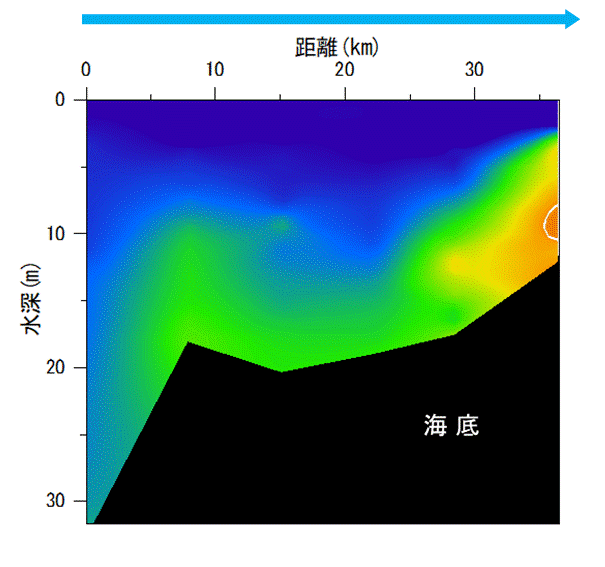 23年8月21日調査　湾東部で貧酸素水塊が確認されました。