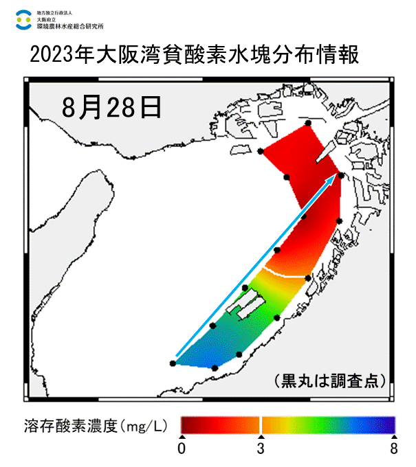 23年8月28日調査　湾奥部、湾東部で貧酸素水塊が確認されました。