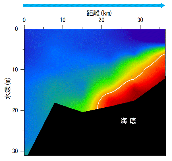 23年8月28日調査　湾奥部、湾東部で貧酸素水塊が確認されました。