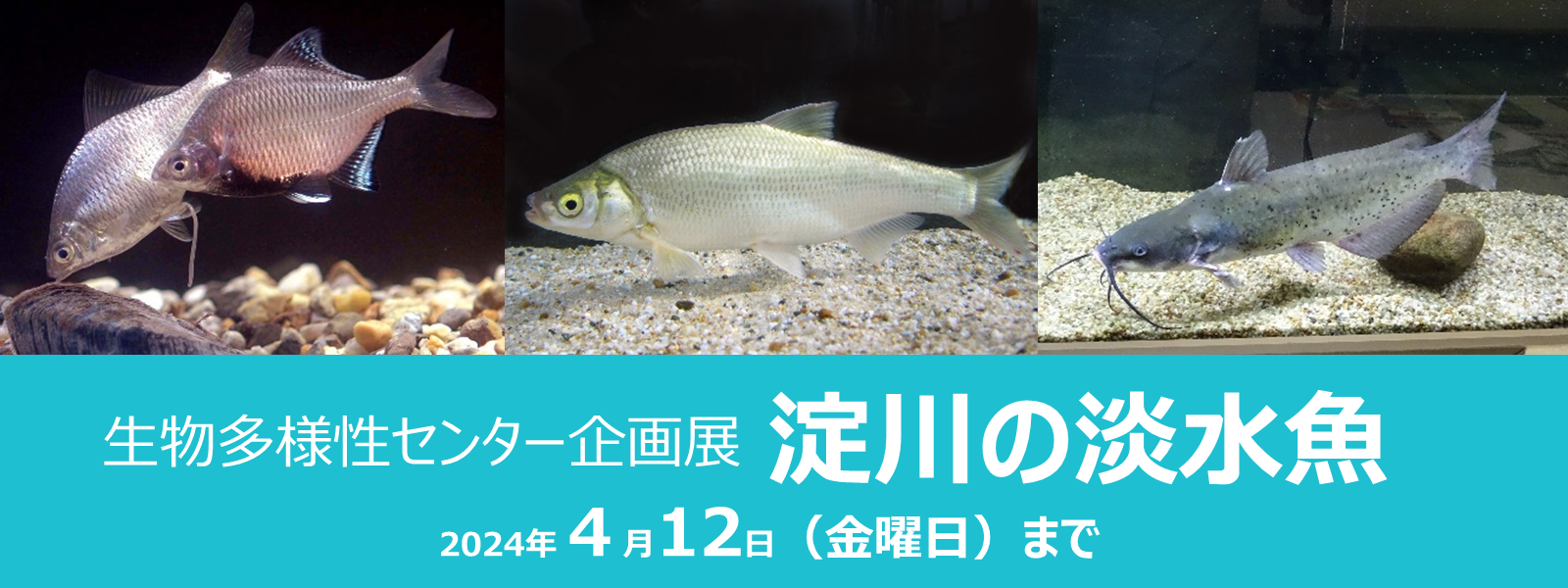 生物多様性センター企画展