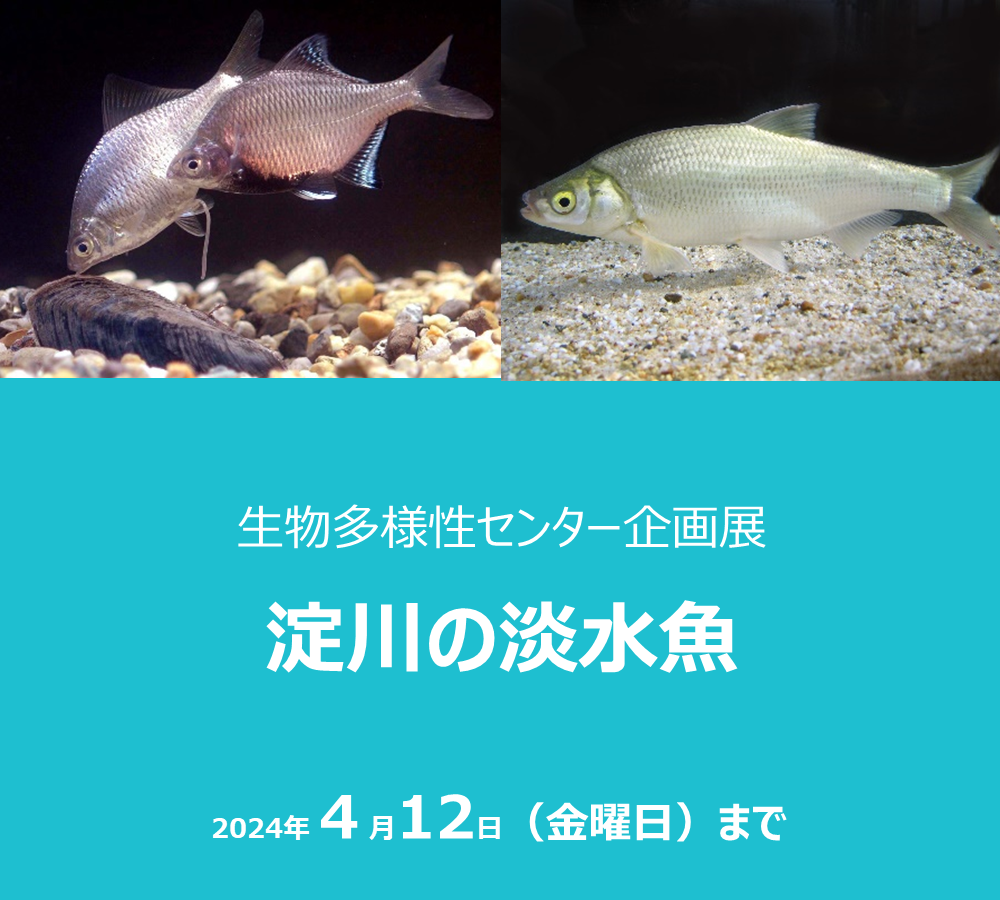 生物多様性センター企画展