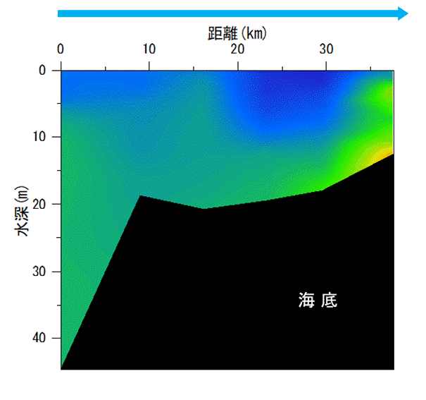 23年10月3日調査　貧酸素水塊は確認されませんでした。