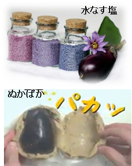 技術移転プログラム