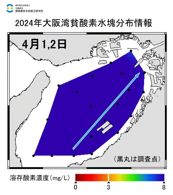 2024年4月1,2日調査　貧酸素水塊は確認されませんでした。