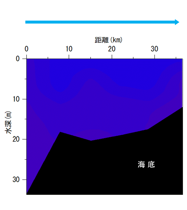 2024年4月1,2日調査　貧酸素水塊は確認されませんでした。