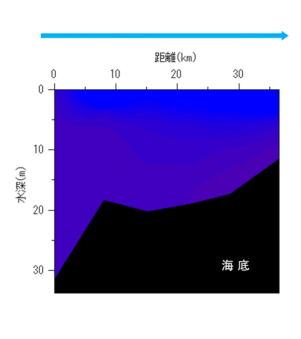 2024年4月8日調査　貧酸素水塊は確認されませんでした。